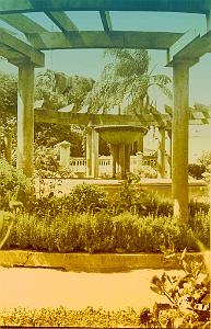 HAMMAM BOU HADJAR 508  PERGOLA 